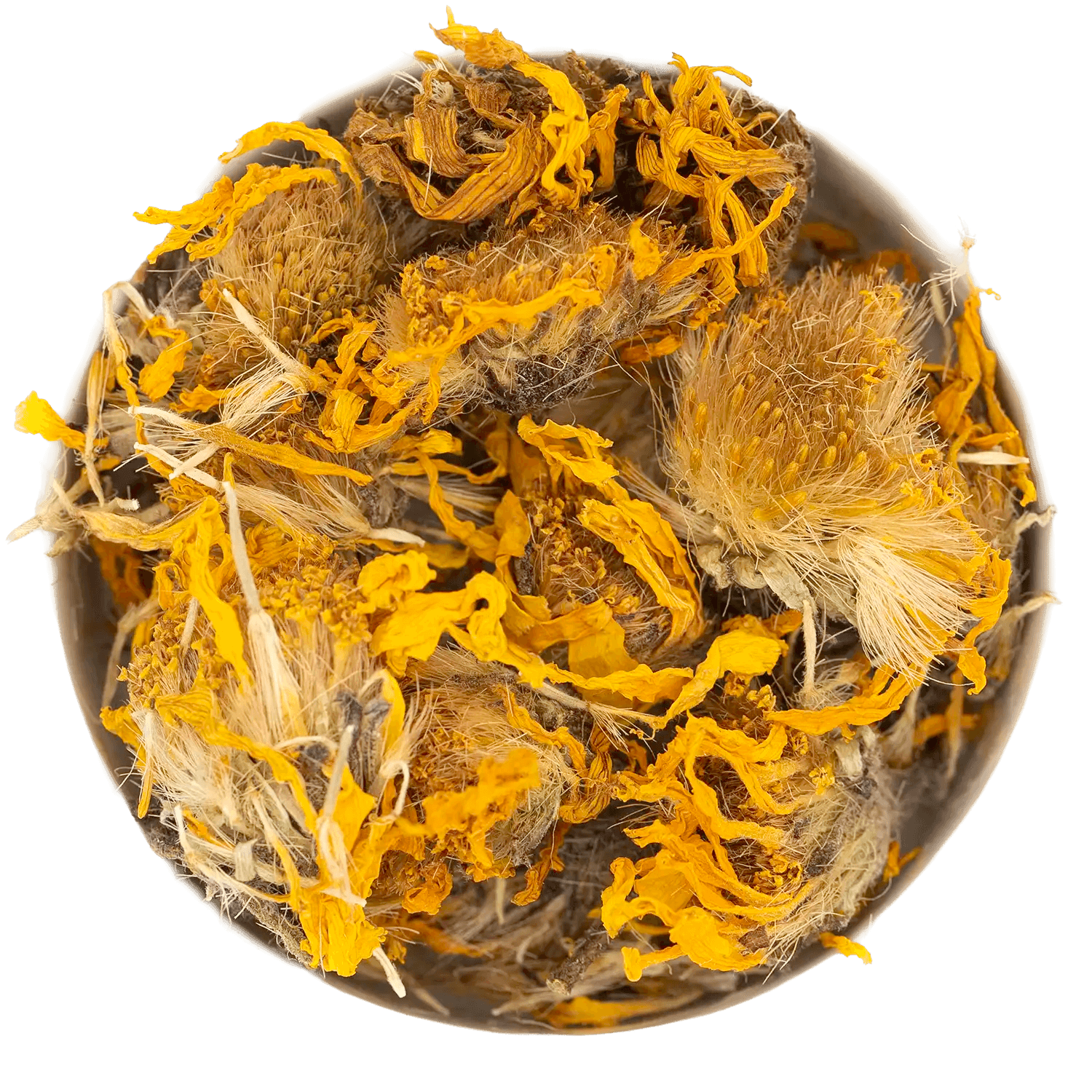 Nahaufnahme von getrockneten Arnikablüten. Die ganzen Blütenköpfe zeigen ein leuchtendes Gelb der Blütenblätter und flaumige, bräunliche Kelche. Hochwertige Arzneidroge als lose Blütentee-Ware. Reines Naturprodukt aus der Kräuterdrogerie.