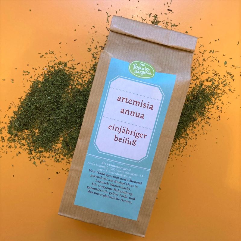 Artemisia Annua Blatt Die Kräuterdrogerie