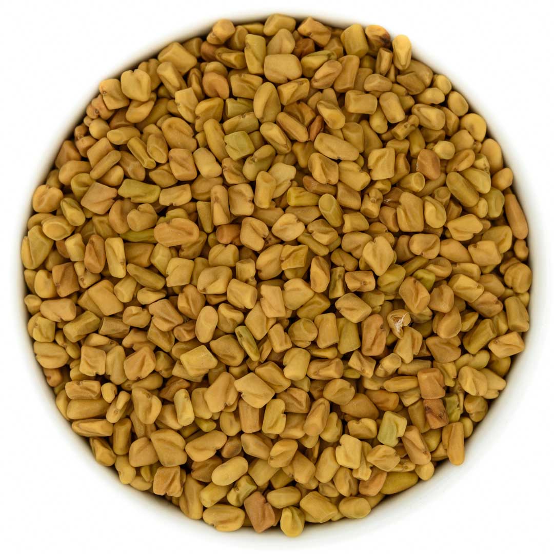 Bockshornkleesamen 30g Die Kräuterdrogerie
