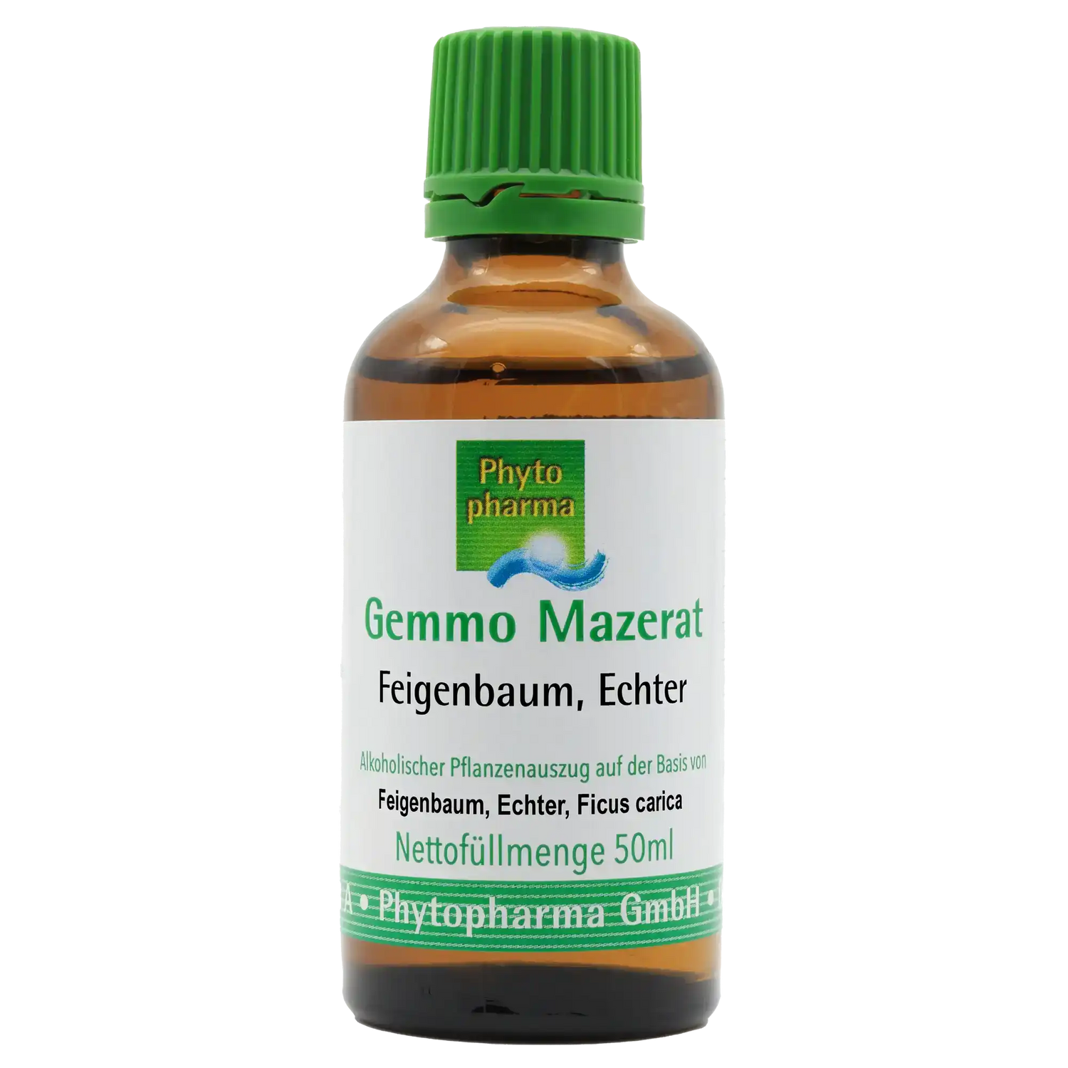 Feigenbaum Gemmomazerat Phytopharma