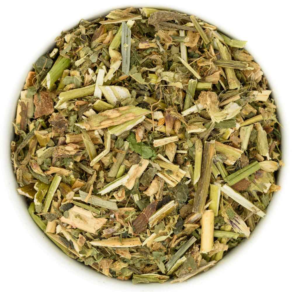 Hohlzahnkraut Die Kräuterdrogerie