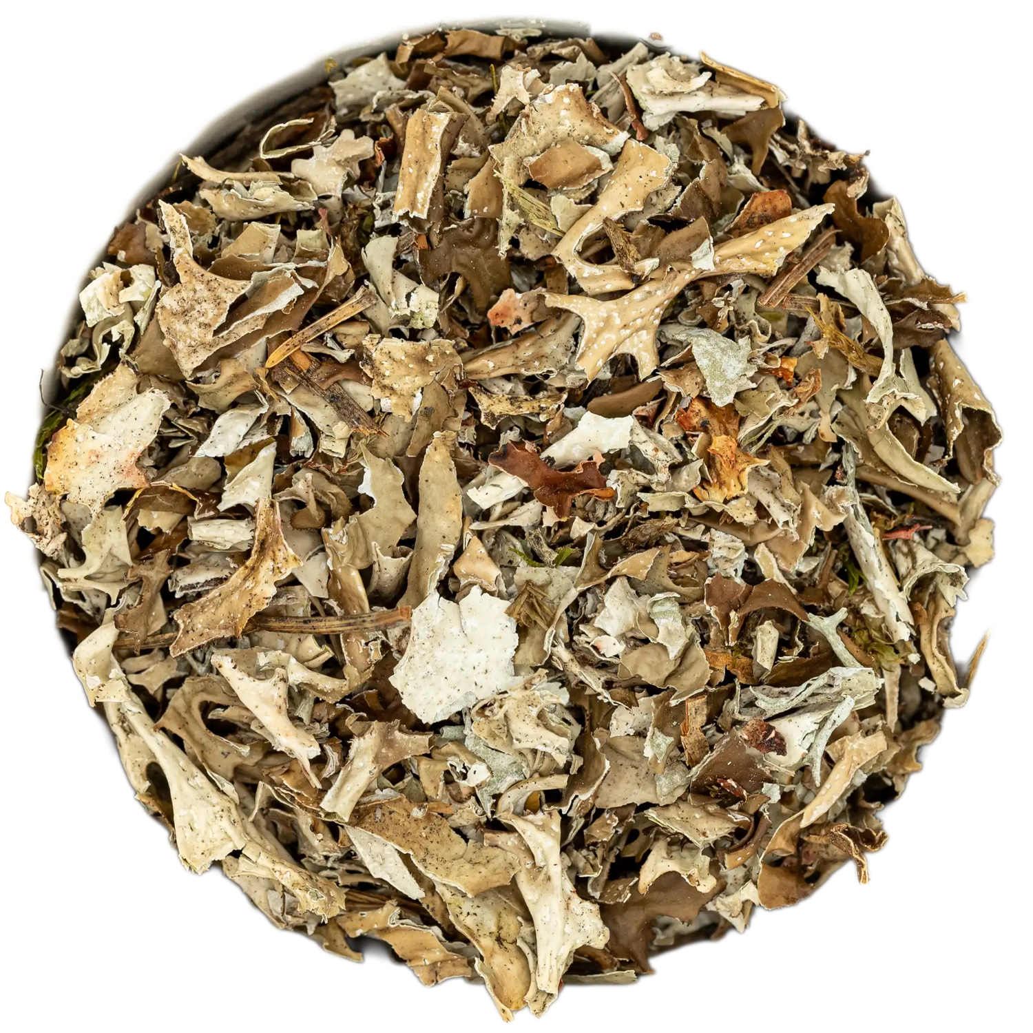 Nahaufnahme von reinigend-erdendem Isländisches Moos Räucherwerk (helle, lappenartige Flechtenstücke). Die Kräuterdrogerie, Wien.