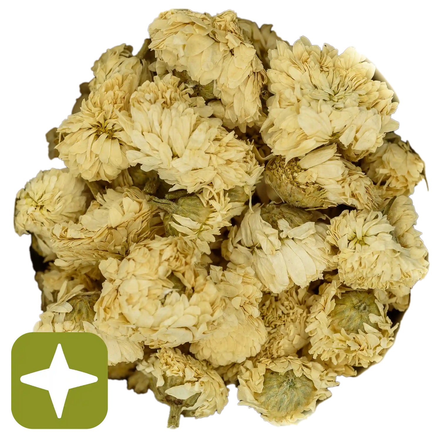 Kamille römisch Die Kräuterdrogerie