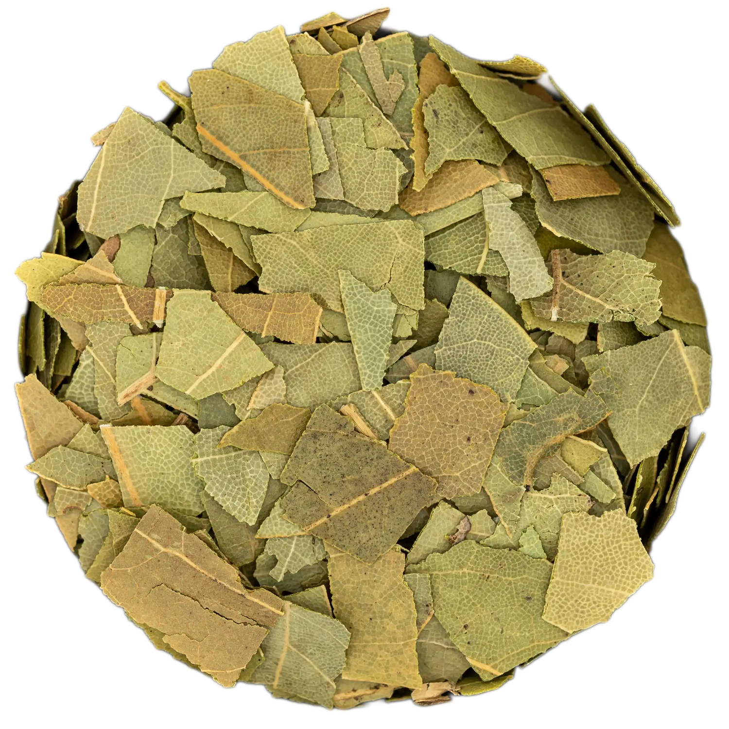 Nahaufnahme von schützendem Lorbeer geschnitten Räucherwerk (grob geschnittene, olivgrüne Blätter). Die Kräuterdrogerie, Wien.