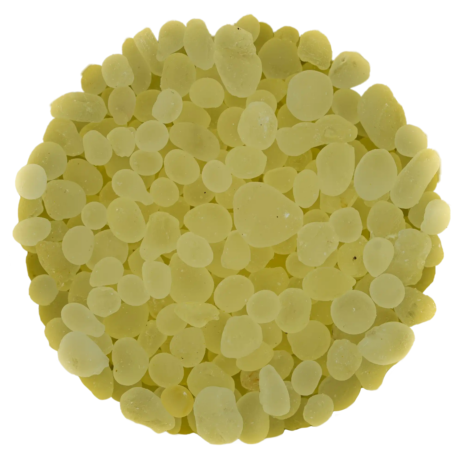 Nahaufnahme von hochwertigem Mastix Harz Räucherwerk aus der Kräuterdrogerie, Wien – wohltuend seit 1793.