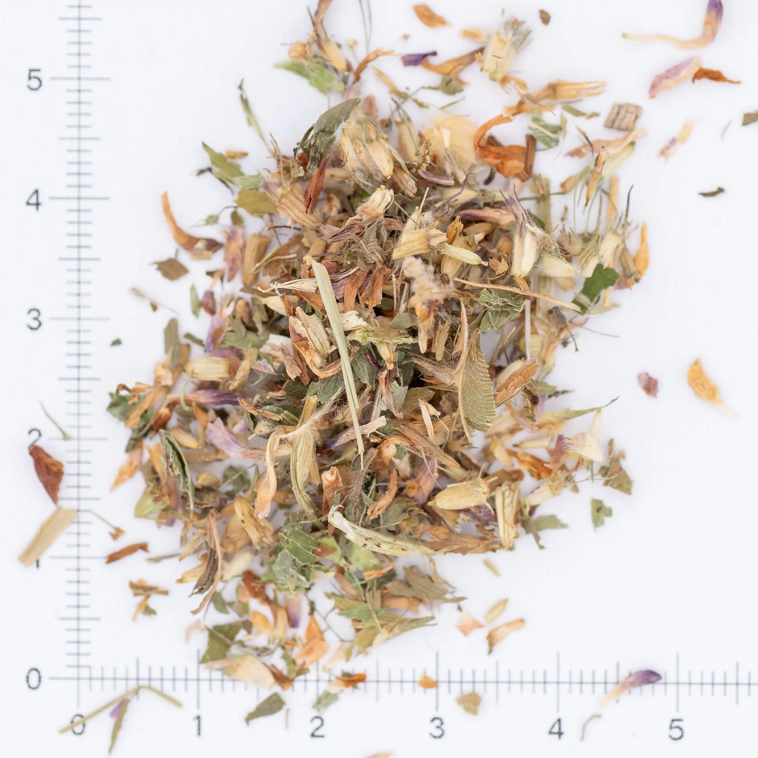 Vörös lóhere virágok