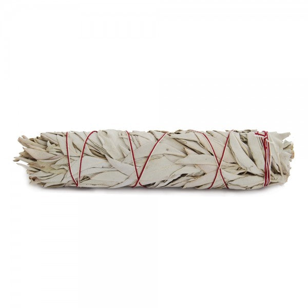 Salbei gebunden groß