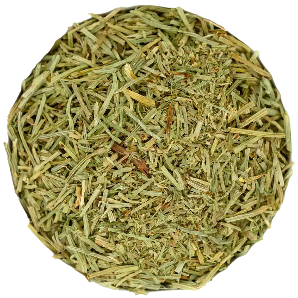 Schachtelhalmkraut (Zinnkraut) – Die Kräuterdrogerie