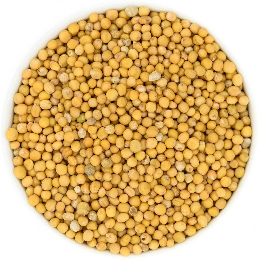 Senfkörner weiß 100g Die Kräuterdrogerie