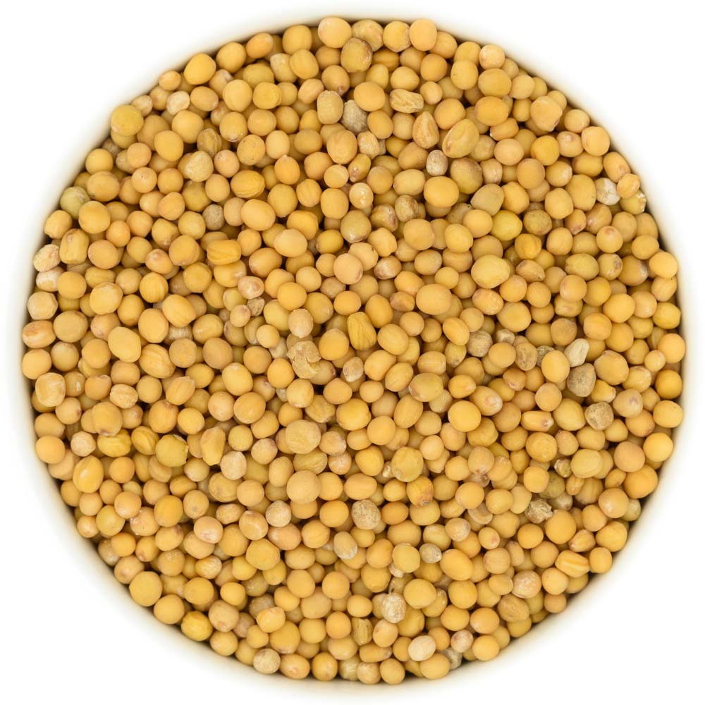 Senfsamen weiß Die Kräuterdrogerie