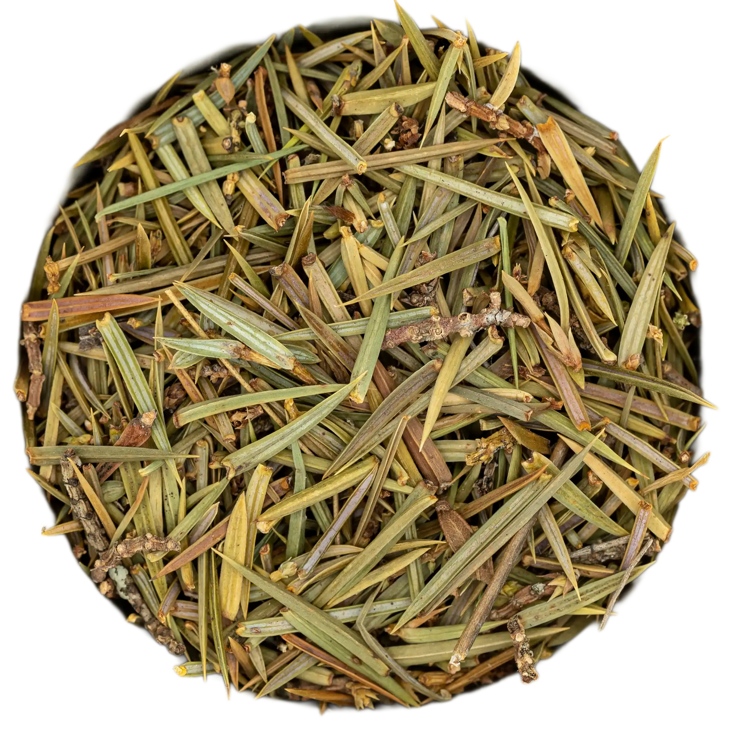 Nahaufnahme von nadelartigen, grünenWacholderspitzen Räucherwerk mit klärend-reinigender Wirkung. Hochwertiges Naturprodukt aus der Kräuterdrogerie, Wien.