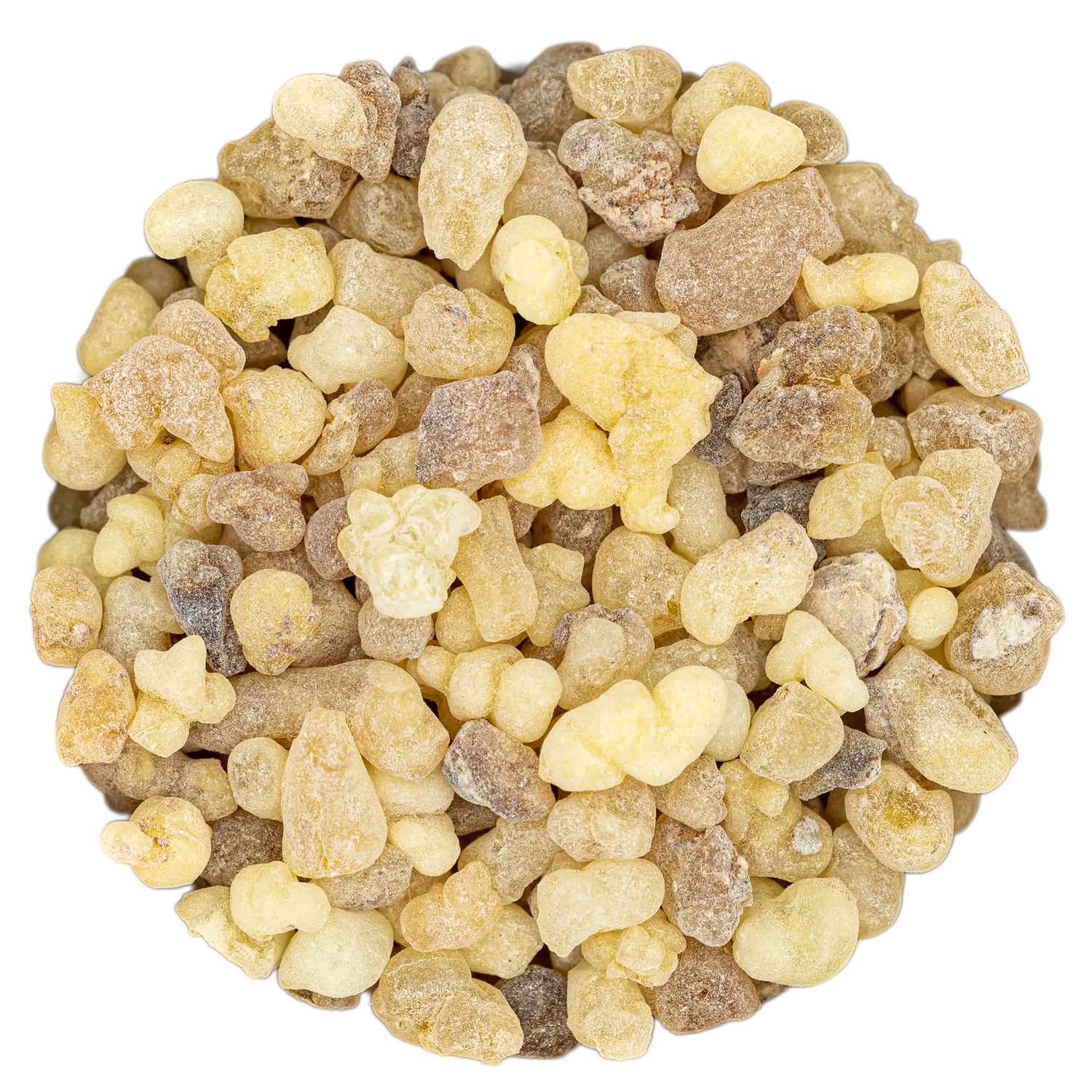 Nahaufnahme von klaren, gelblich-beigen Harztränen Weihrauch Arabisch zur Meditation. Hochwertiges Naturprodukt aus der Kräuterdrogerie, Wien.