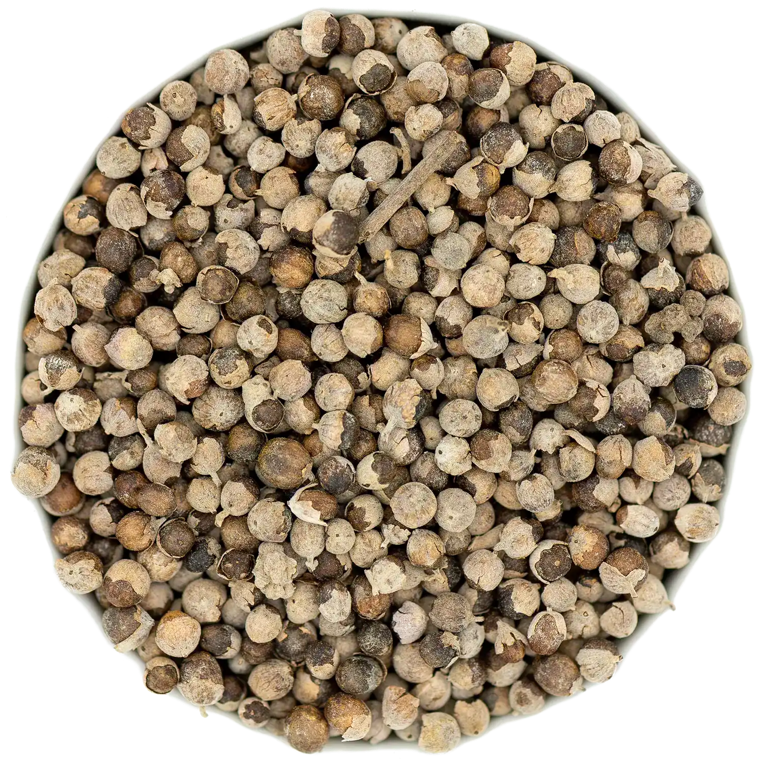 Ganze, getrocknete Mönchspfeffer-Früchte (Vitex agnus-castus) als braune Samen. Spezielle Heilkräuter und Samen in 1080 Wien.