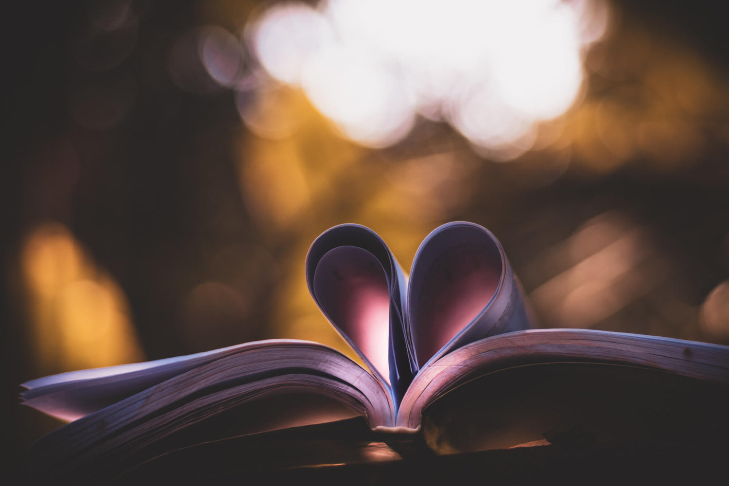 Seiten eines Buches, die zu einem Herz geformt sind. Liebe zum Lesen, Wissen und traditionellen Heilmitteln.