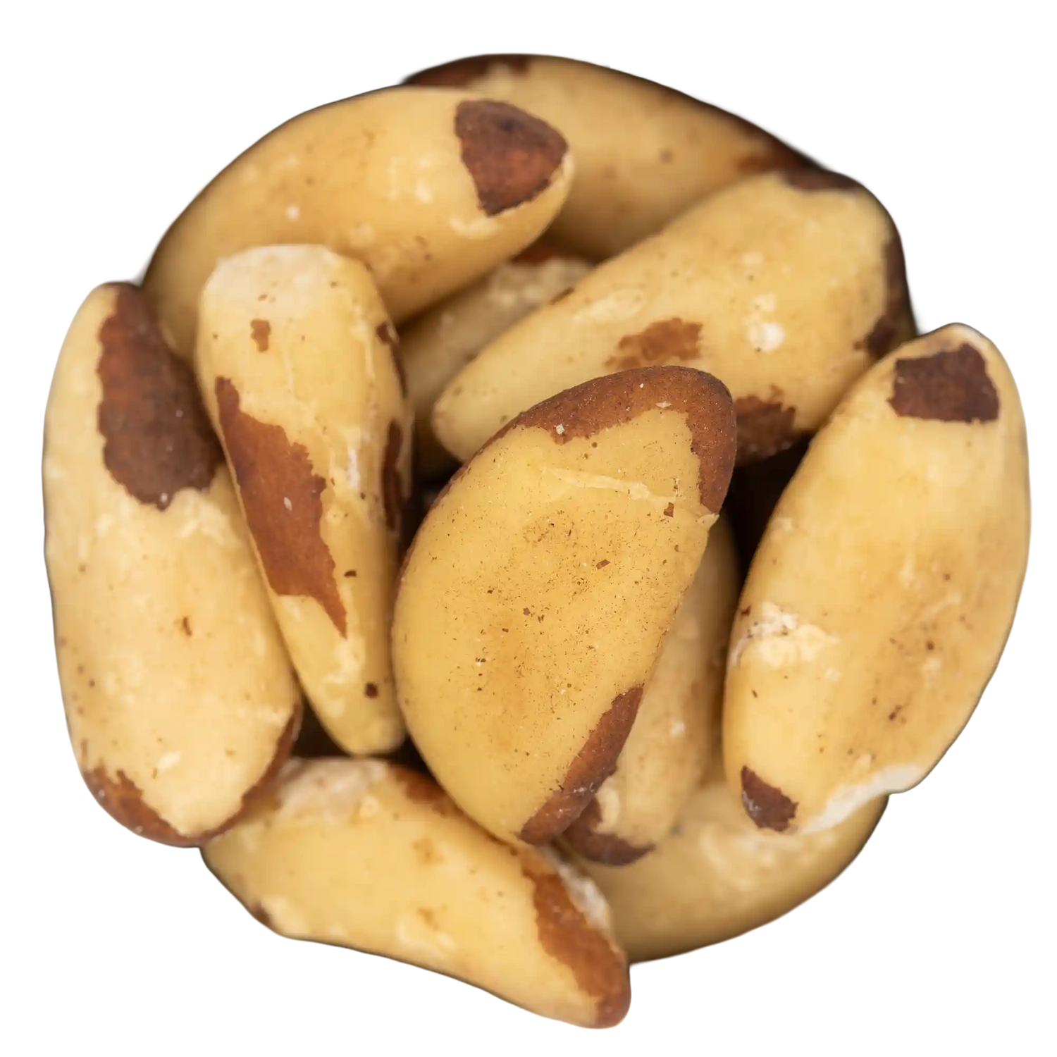 Paranüsse 100g