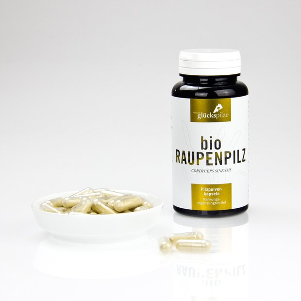 Raupenpilz bio Pulverkapseln 120 Stk.